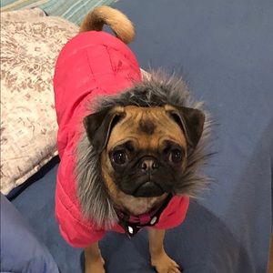 Meet your Posher, Traci